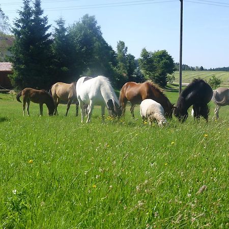 Landgasthof Zum Schwanen 호른베르크 외부 사진