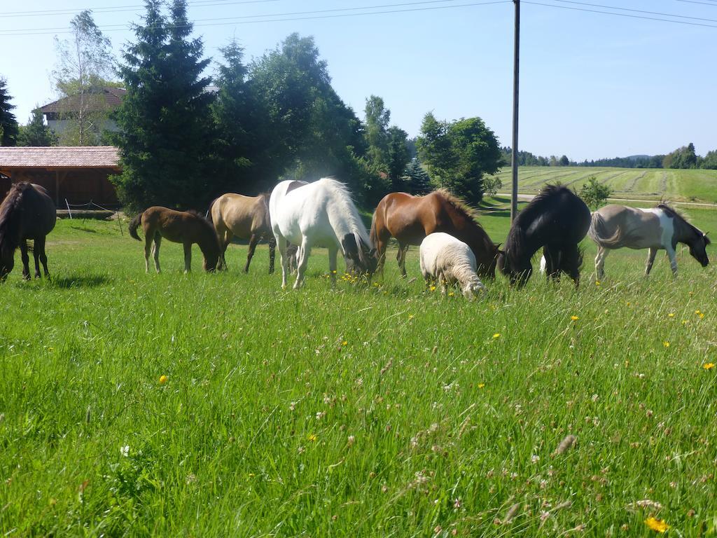 Landgasthof Zum Schwanen 호른베르크 외부 사진